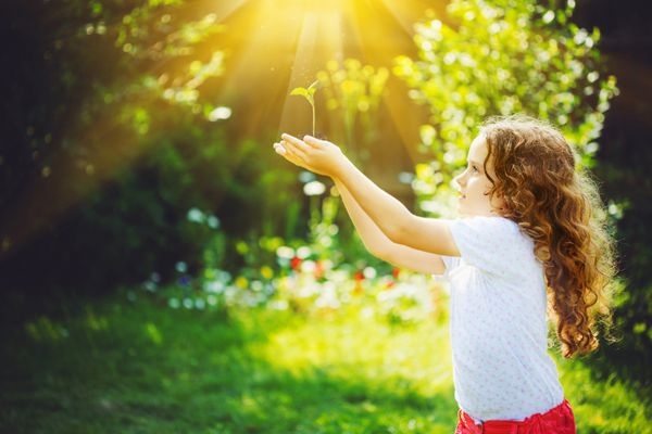 دختر کوچکی که گیاه سبز جوان را زیر نور خورشید نگه داشته است مفهوم اکولوژی تونینگ پس زمینه به فیلتر اینستاگرام