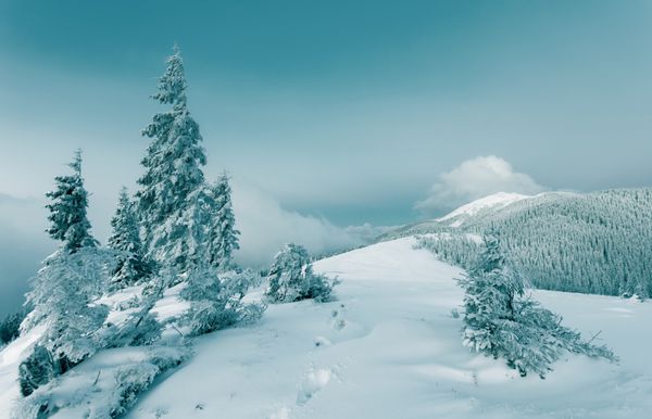 درختان با شکوه زمستانی که در برابر نور خورشید می درخشند صحنه دراماتیک زمستانی pl موقعیت پارک ملی کارپات اوکراین اروپا پیست اسکی آلپ دنیای زیبایی افکت تونینگ اینستاگرام سال نو مبارک