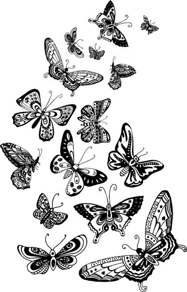 مجموعه تصویرسازی پروانه پرواز