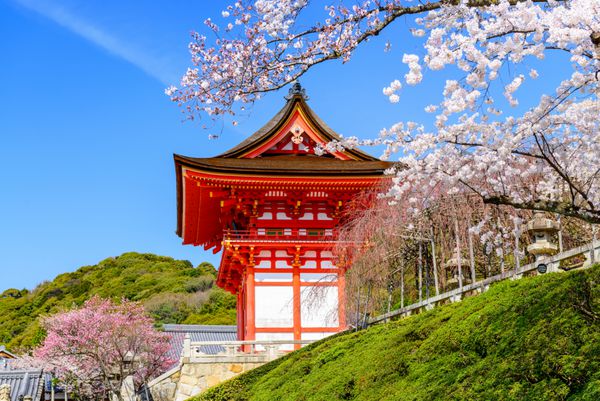 کیوتو ژاپن در معبد کیومیزو-درا در بهار