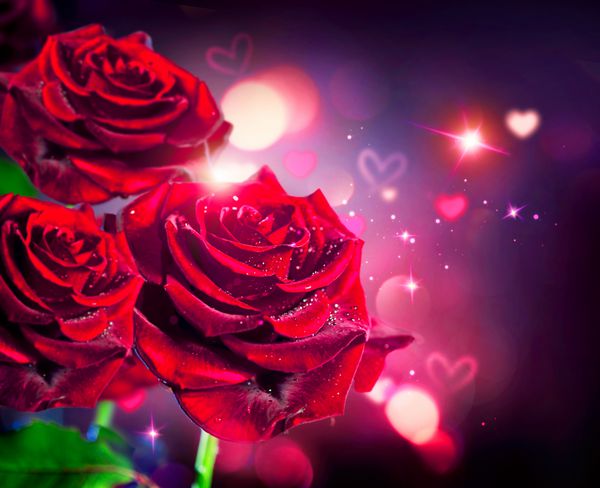 پس زمینه گل رز و قلب یا طرح کارت عروسی دسته گل رز قرمز زیبا روی پس زمینه تار قرمز پس زمینه گل خیابان طراحی هنری گل رز روز
