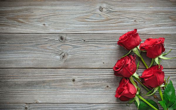 گل رز قرمز روی تخته چوبی پس زمینه روز