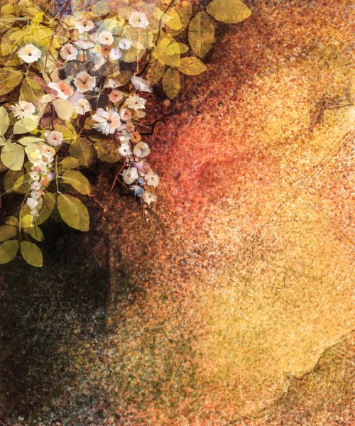 نقاشی آبرنگ گل انتزاعی با دست نقاشی شده گل پیچک سفید زرد و قرمز و برگ بر روی دیوار و حصار چوبی پس زمینه بافت گرانج پس زمینه طبیعت فصلی گل بهاری