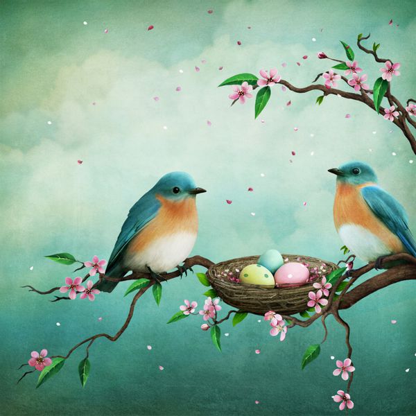 کارت تبریک یا تصویر عید پاک با پرندگان آبی و تخم مرغ در لانه