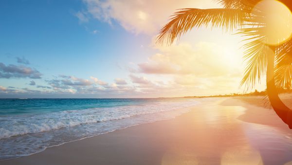 طلوع زیبای خورشید بر فراز ساحل استوایی