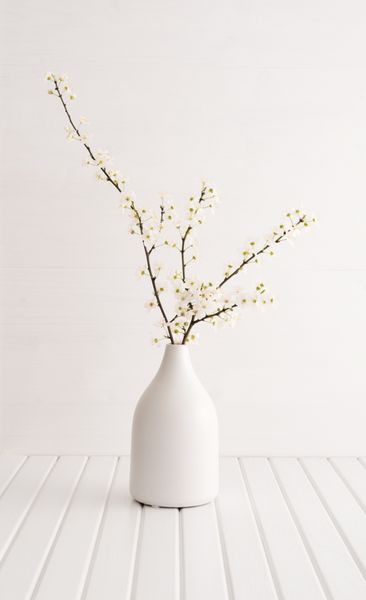 گلدان با شکوفه گیلاس