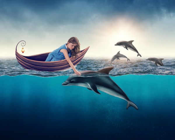 دختر بچه با دلفین