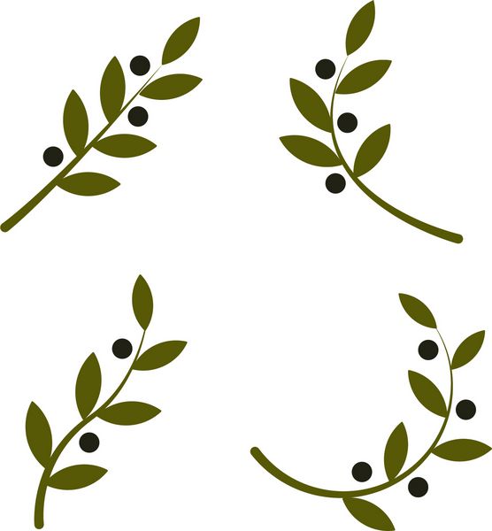 مجموعه ای از وکتور سبز آرم شاخه زیتون علامت روغن زیتون نماد pe علامت مذهبی یونانی نماد اساطیری برچسب محصولات سالم لوازم آرایشی ارگانیک غذای سازگار با محیط زیست عنصر طبیعی اقلام کشاورزی