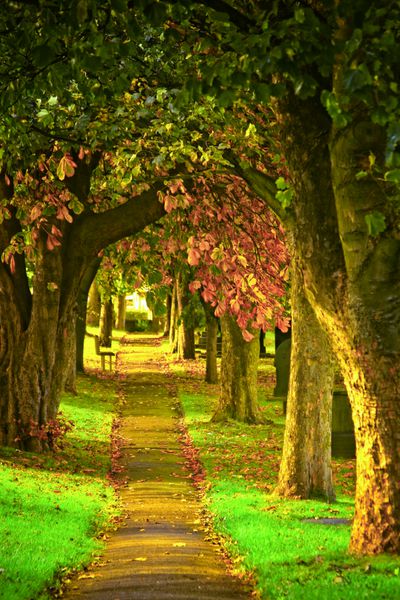 عکس خفن عکس طلوع خورشید در پاییز