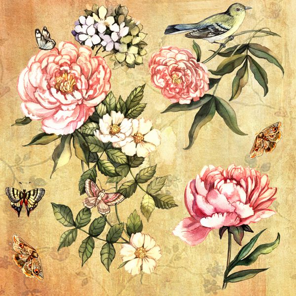 ست رترو گل با پروانه پرنده نقاشی با دست آبرنگ اصلی تصویرسازی برای کارت های تبریک دعوت نامه ها و سایر پروژه های چاپ