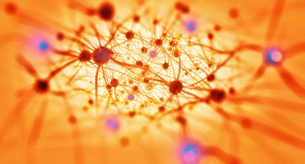 نورون ها در مغز در پس زمینه روشن تصویر سه بعدی