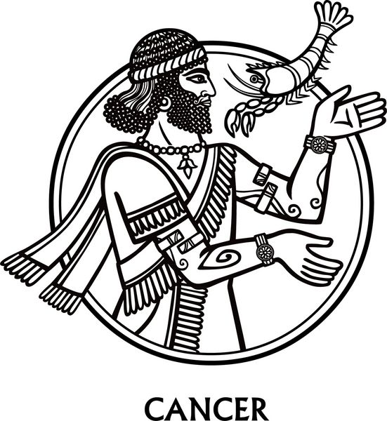 سرطان علامت زودیاک هنر وکتور طراحی سیاه و سفید زودیاک جدا شده روی سفید