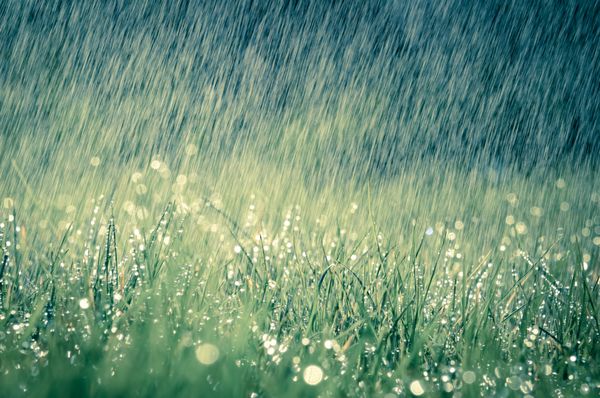 دوش باران شدید فوق العاده در آفتاب بهار یا تابستان از طبیعت آرامش بخش لذت ببرید