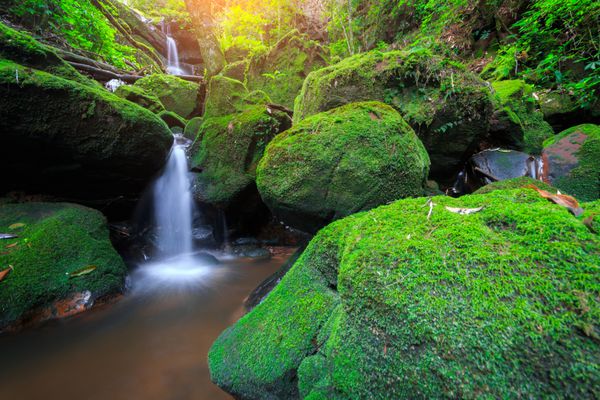 آبشارهای زیبای آب بر فراز آبشارهای پوشیده از خزه آبشار جنگل بارانی در پارک ملی فو سوئی دائو تایلند