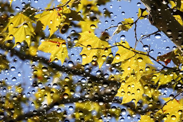 نمای رنگ های پاییزی از شیشه پنجره پوشیده شده توسط قطرات باران