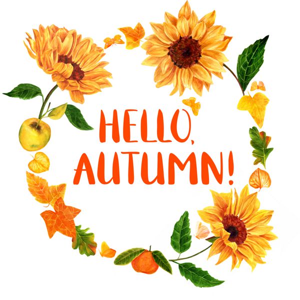 سلام پاییز کارت پستال یا بروشور با گل های آفتابگردان با آبرنگ میوه ها سیب و نارنگی برگ های پاییزی پیچک بلوط و غیره و پروانه های زرد طلایی روی زمینه سفید