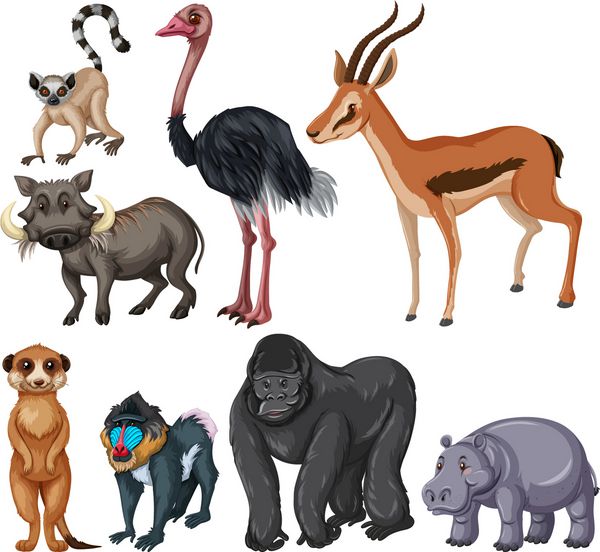 انواع مختلف تصویر حیوانات حیات وحش