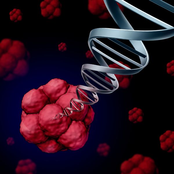 سلول‌های بنیادی DNA یا مفهوم ژنتیک سلول‌های بنیادی از سلول‌های بیولوژیکی که از طریق میتوز با یک رشته مارپیچ دوتایی با کروموزوم‌هایی که برای تحقیقات علوم پزشکی به‌عنوان یک تصویر سه‌بعدی ظهور می‌کنند تقسیم می‌شوند
