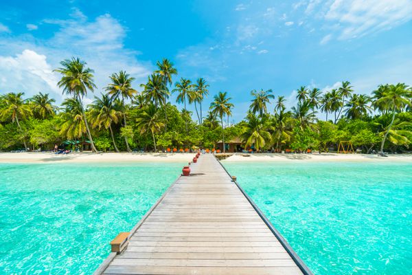 جزیره زیبای گرمسیری مالدیو با ساحل دریا و درخت نخل نارگیل در آسمان آبی برای مفهوم پس‌زمینه تعطیلات تعطیلات طبیعت - افزایش پردازش رنگ