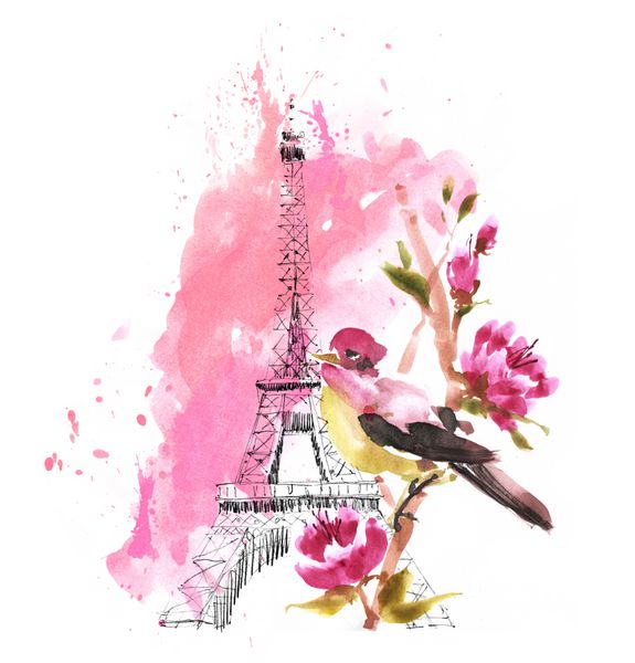 طرح شهری فرانسه پاریس برج ایفل با تصویر پرنده و گل رز در پس زمینه سفید نقشه کشی معماری بناهای تاریخی مداد آبرنگ طراحی قدیمی برای کارت کتاب