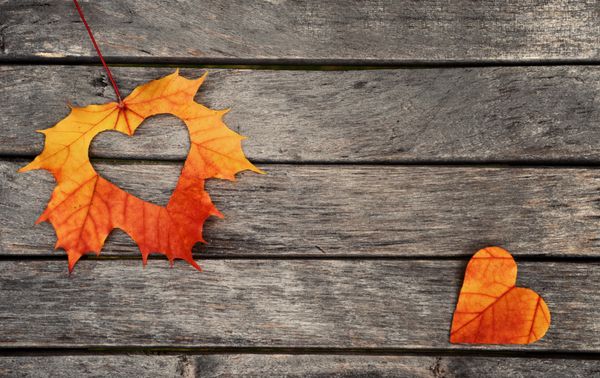 برگ های قرمز و نارنجی پاییزی با قلب پس زمینه چوبی پاییز