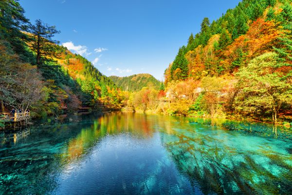 منظره شگفت انگیز دریاچه پنج گل دریاچه چند رنگ در میان کوه های جنگلی در ذخیره گاه طبیعی جیوژایگو پارک ملی دره جیوژای چین جنگل رنگارنگ پاییزی که در آب نیلگون منعکس شده است