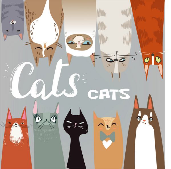 مجموعه گربه های کارتونی خنده دار