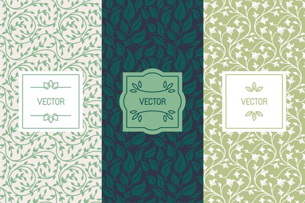 مجموعه وکتوری از الگوهای طراحی بسته بندی الگوهای بدون درز و قاب با کپی sp برای متن برای لوازم آرایشی محصولات زیبایی مواد غذایی ارگانیک و سالم با برگ و گل سبز
