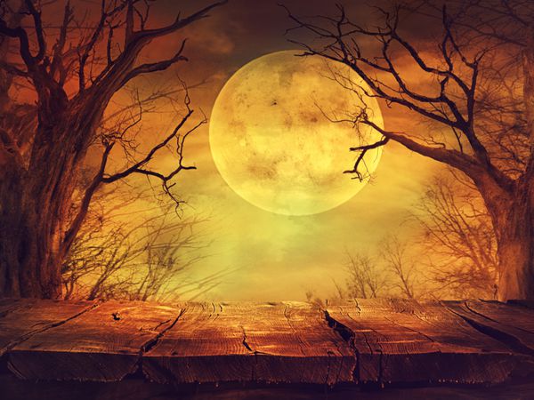 پس زمینه هالووین جنگل شبح وار با ماه کامل و میز چوبی