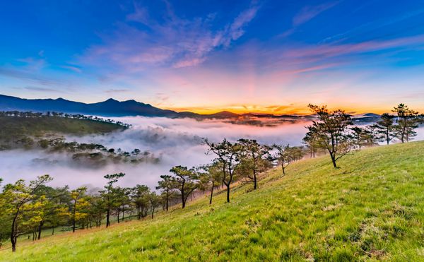 طلوع شگفت انگیز خورشید در تپه طلایی دره طلایی در شهر دالات منظره معروف در شهر دالات دالات مه شهری در ارتفاعات در صبح است دالات یکی از شهرهای زیبا و معروف ویتنام است
