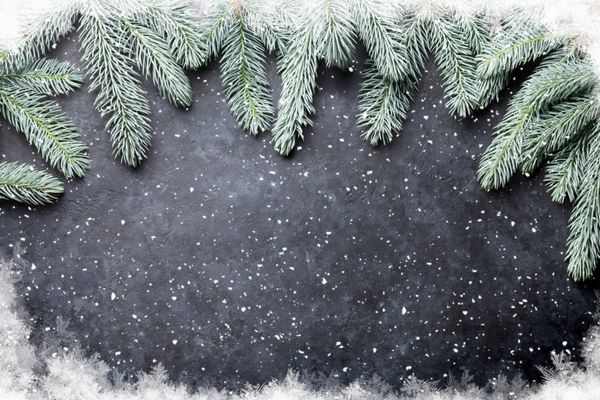 پس زمینه کریسمس با درخت صنوبر و برف روی بافت سنگ با کپی sp برای متن شما
