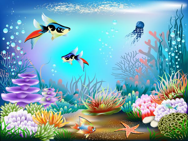 دنیای زیر آب ماهی ها و گیاهان