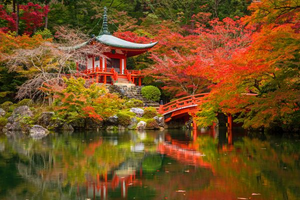 معبد دایگو جی با درختان افرا رنگارنگ در پاییز کیوتو ژاپن