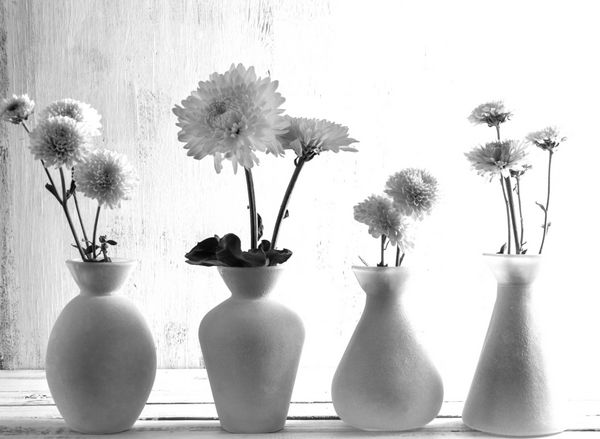 دکوراسیون منزل از گلدان عکسبرداری سیاه و سفید گلدان با گل داخلی