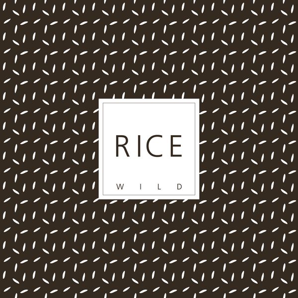 عنصر طراحی بسته برنج قالب الگوی بدون درز - نمونه گنجانده شده است