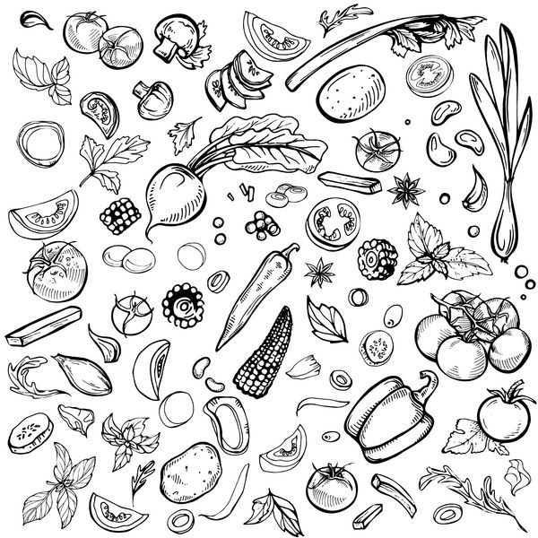 طرح جوهر کشیده شده با دست مجموعه ای از سبزیجات مختلف طرح هایی از غذاهای مختلف جدا شده روی سفید