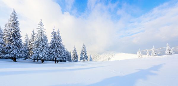 پانورامای دیدنی بر روی کوه ها درختان پوشیده از برف سفید چمنزار و آسمان آبی با ابرها باز می شود