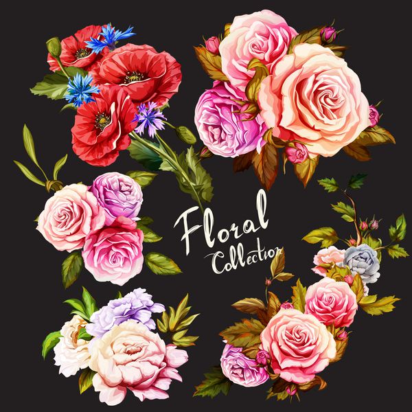 گل ها مجموعه پنج دسته گل گل خشخاش گل رز گل صد تومانی می تواند در اهداف طراحی استفاده شود تصاویر کشیده شده با دست وکتور - سهام