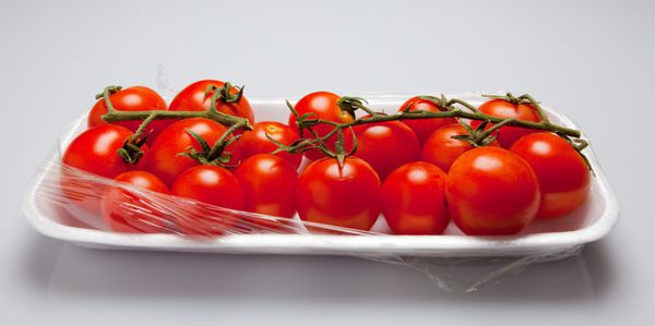 گوجه فرنگی روی انگور بسته بندی شده و داخل یک لفاف استایروفومی نشسته است