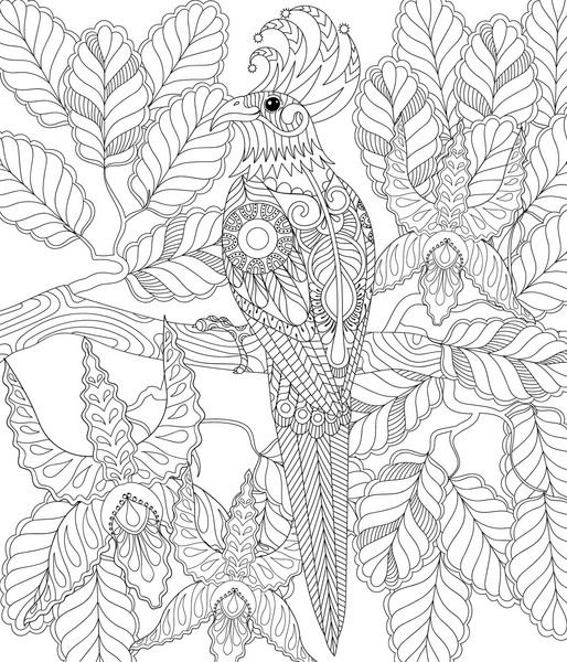 پرنده استوایی عجیب و غریب zentangle صفحه رنگ آمیزی ضد استرس بزرگسالان طوطی نشسته روی شاخه با گل کارت تبریک طبیعت تزئینات تصویر طرح‌دار دستی برای روز هفتم