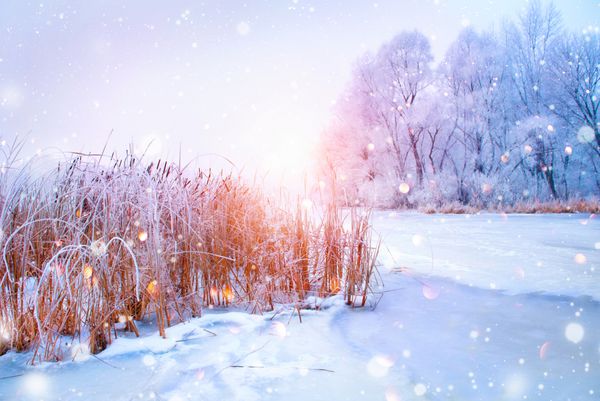 پس زمینه منظره زیبای زمستانی با درختان پوشیده از برف و رودخانه یخی پس زمینه زمستانی آفتابی زیبایی سرزمین عجایب درختان یخ زده در جنگل برفی طبیعت آرام زمستانی زیر نور خورشید