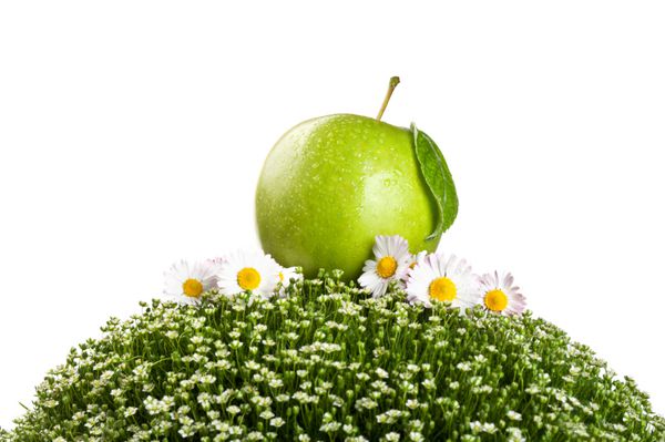 سیب تازه روی یک چمن سبز جدا شده در پس زمینه سفید