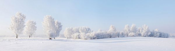 منظره زیبای زمستانی با درختان پوشیده از سرما