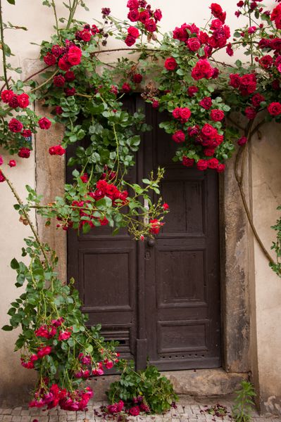 در با گل رز قرمز
