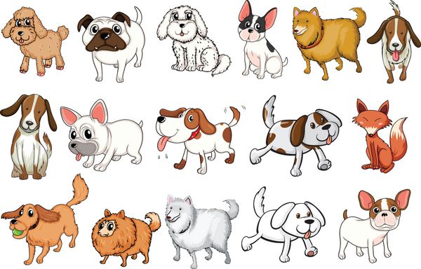 نژادهای مختلف سگ