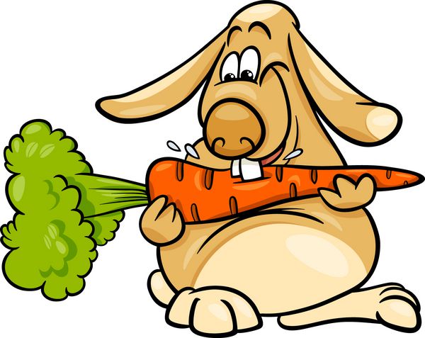 کارتون خرگوش لوپ با هویج