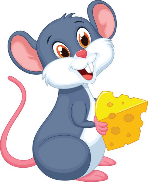 موش ناز یک تکه پنیر در دست دارد