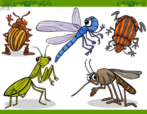 تصویر کارتونی مجموعه حشرات شاد