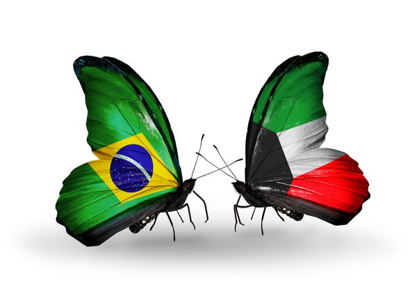 دو پروانه با پرچم برزیل و کویت