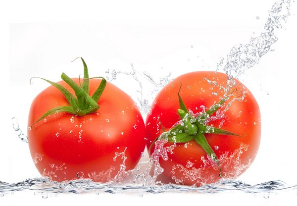 coppia di pomodori splash